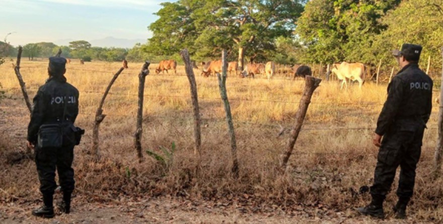 Agentes exigen dinero por investigar robo de ganado.