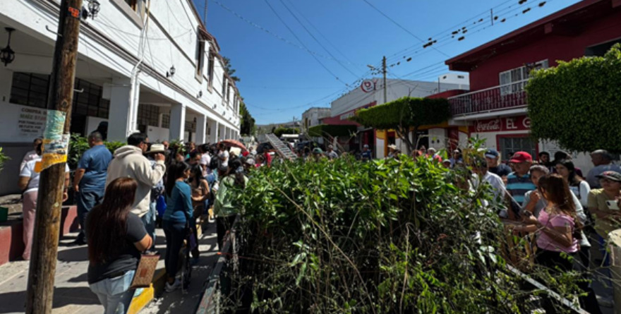 Otorgan apoyos para el desarrollo agrícola