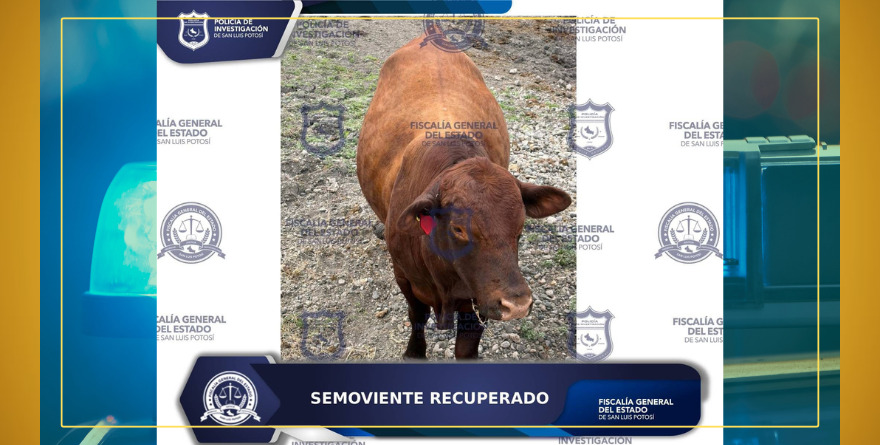 ¡Regresan al torito!