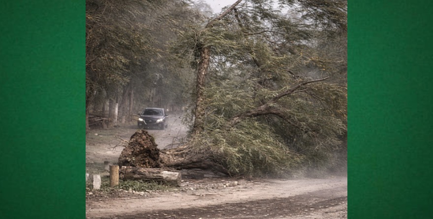 Alertan por fuertes vientos en la región