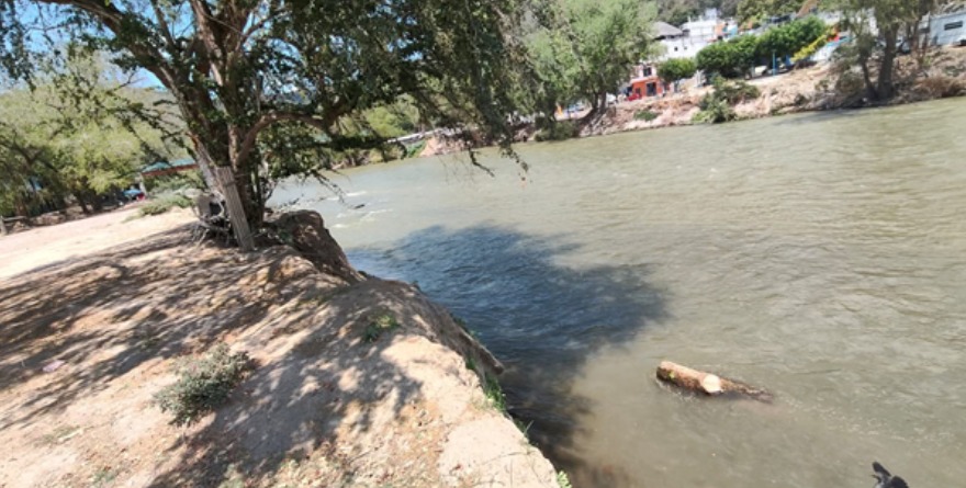 Reforestarán ribera del río Moctezuma