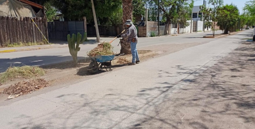 Limpieza en calle Nicolás Bravo