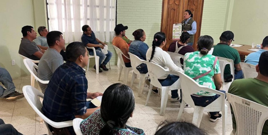 Refuerzan higiene en venta alimentos