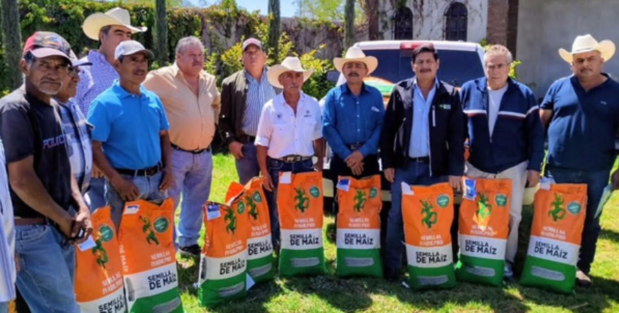 Soledad entrega semilla de maíz a productores