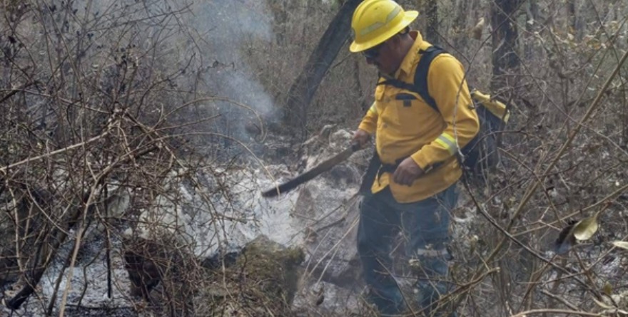Logran control del fuego tras varios días críticos