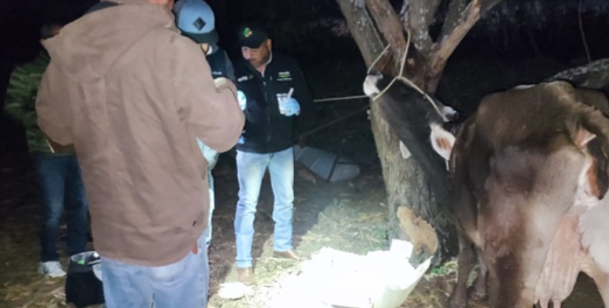 Caso Tamasopo refleja omisiones
