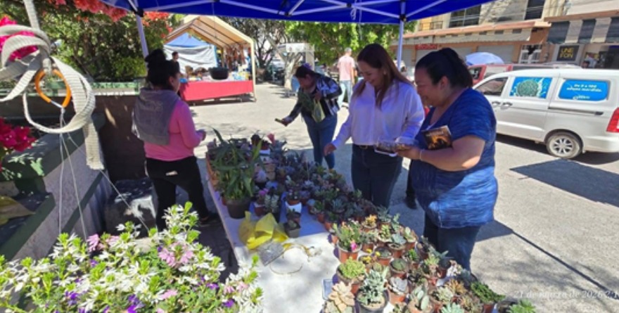 Expo Cactáceas en plaza Cerritos
