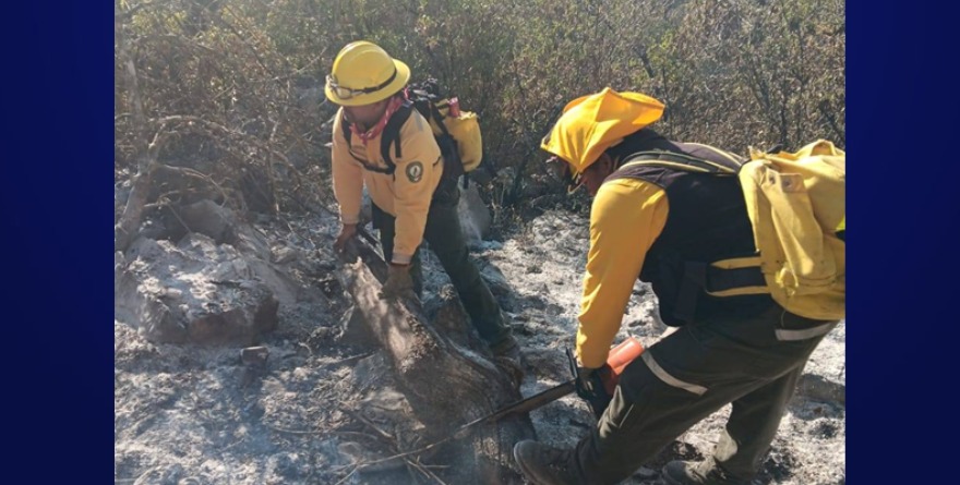 Mesa de coordinación destaca control forestal