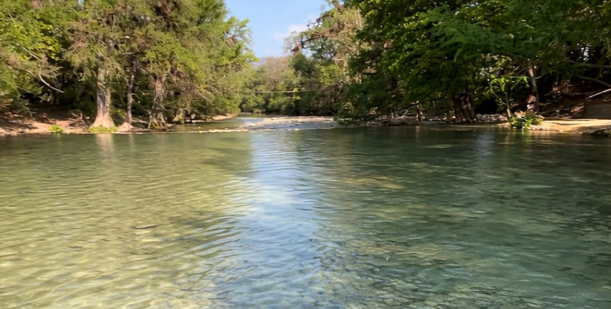 Paraje selvático de la Huasteca