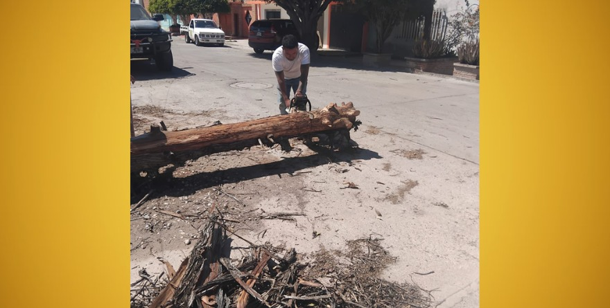 Liberan calles tras vientos