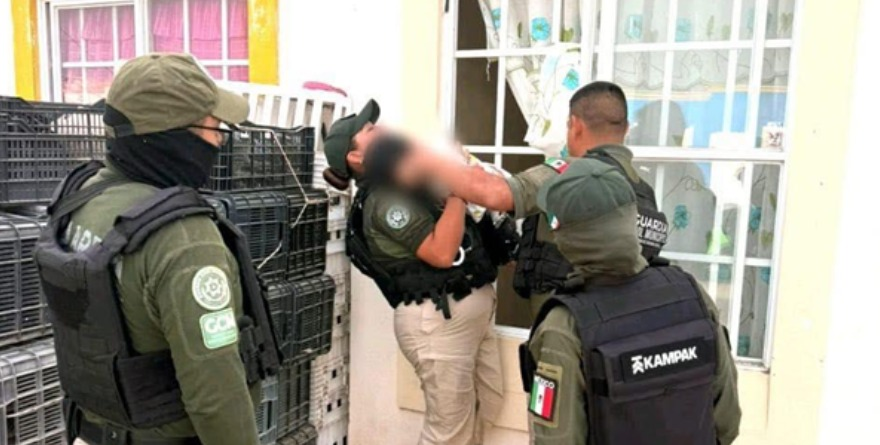 Rescatan a dos morritos en Soledad