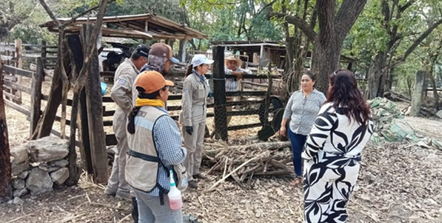 Continúan acciones contra Barrenador