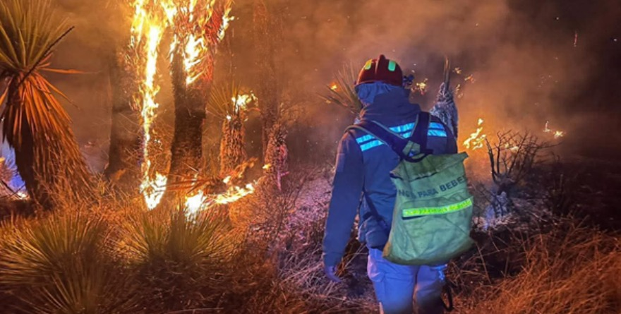 Controlan incendio en Cándido Navarro