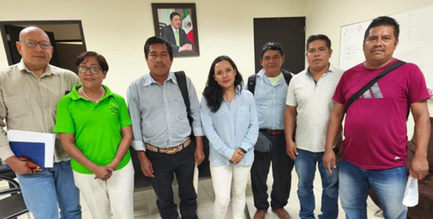 Refuerzan acciones contra los mosquitos