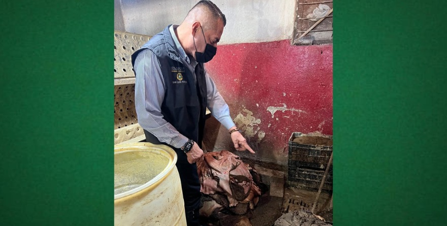 Del rastro a la taquería; carne llegaba al Centro