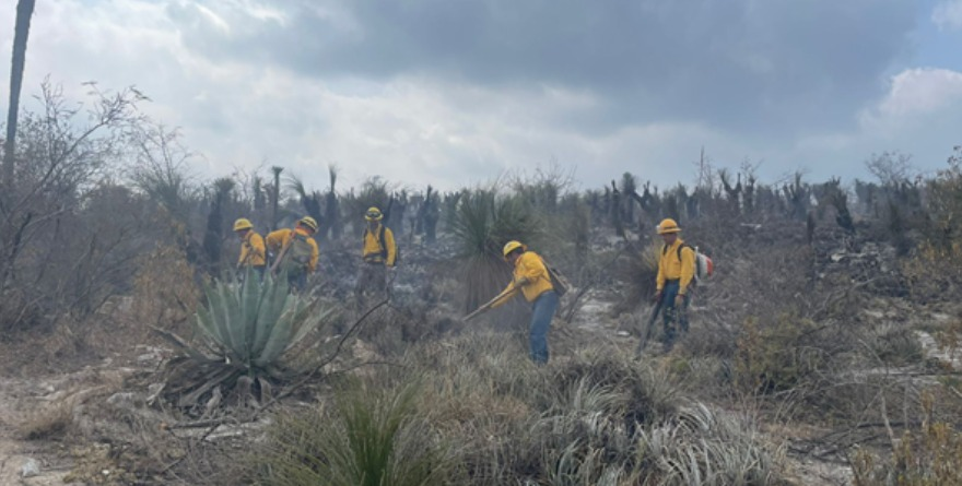 Unen fuerzas ante siniestro forestal