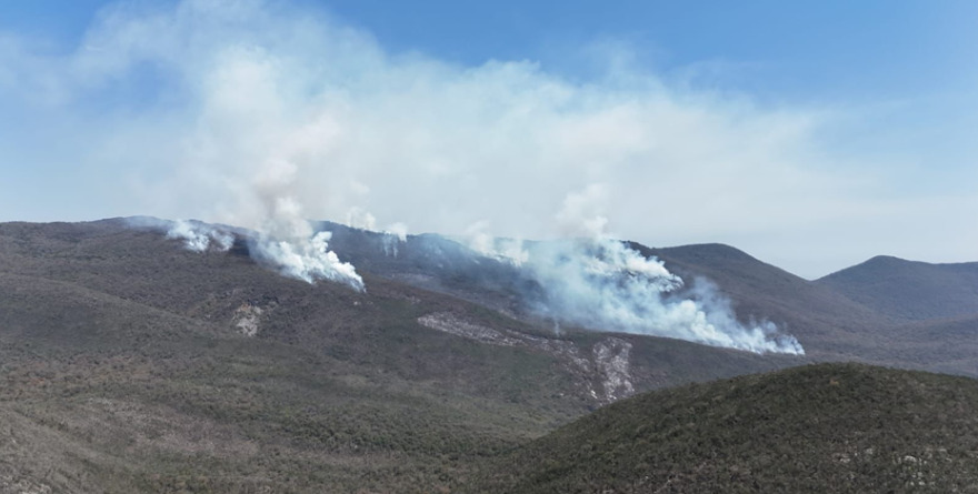 Chícharo dirige combate contra llamas forestales