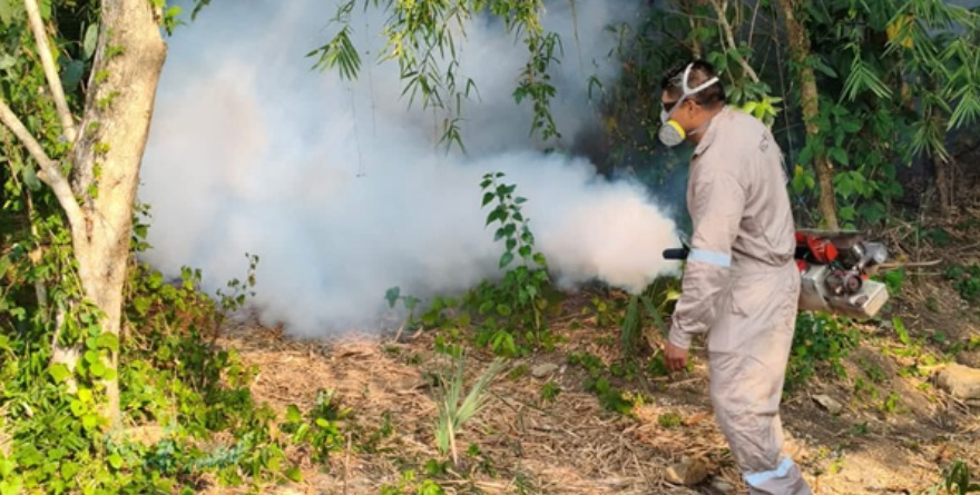 Combaten a mosquito transmisor en la región