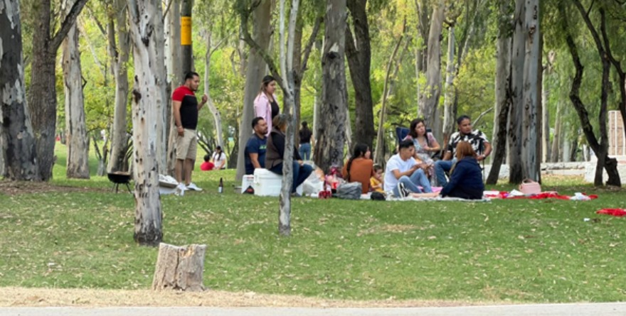 Parque Las Camelias registra alta afluencia