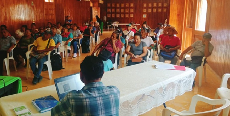 Tamazunchale fortalece la producción avícola