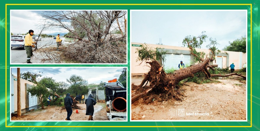 Limpian destrozos tras tormenta con granizo en Matehuala