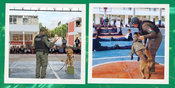 Llevan perritos de la Guardia Civil a escuelas