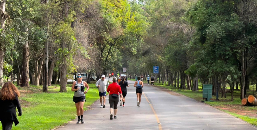 Parques reúnen a más de 71 mil personas
