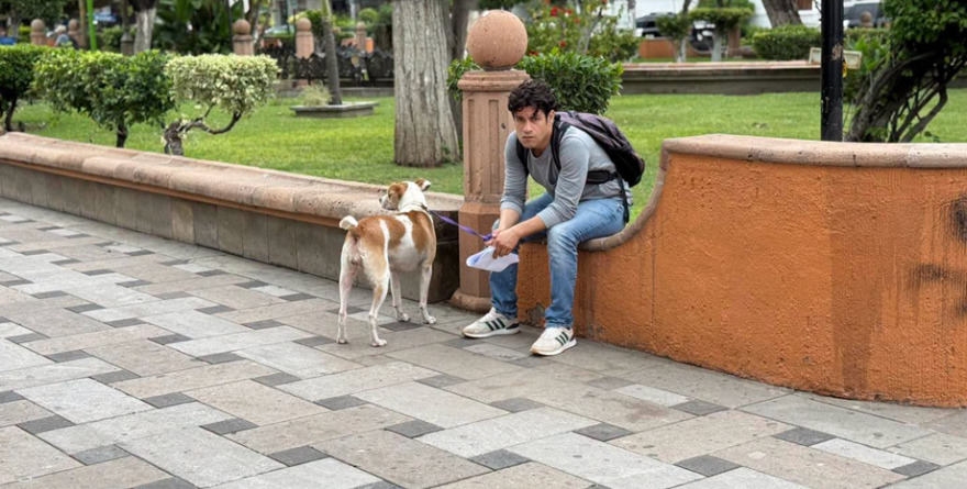 Jornada de esterilización en Rioverde