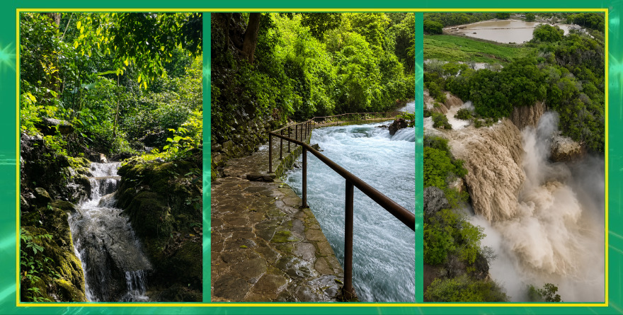 Huasteca se pinta de verde