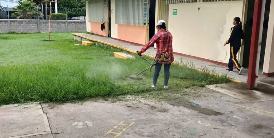 Deshierbe oculta crisis educativa