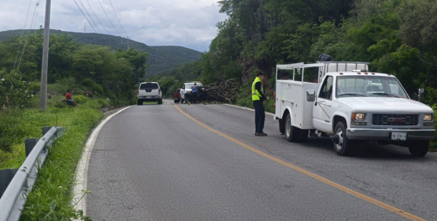 “Bomberos retiran árbol en Carretera 69”