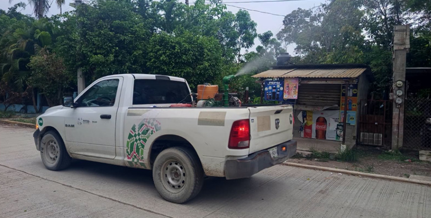 Avanza combate contra el dengue