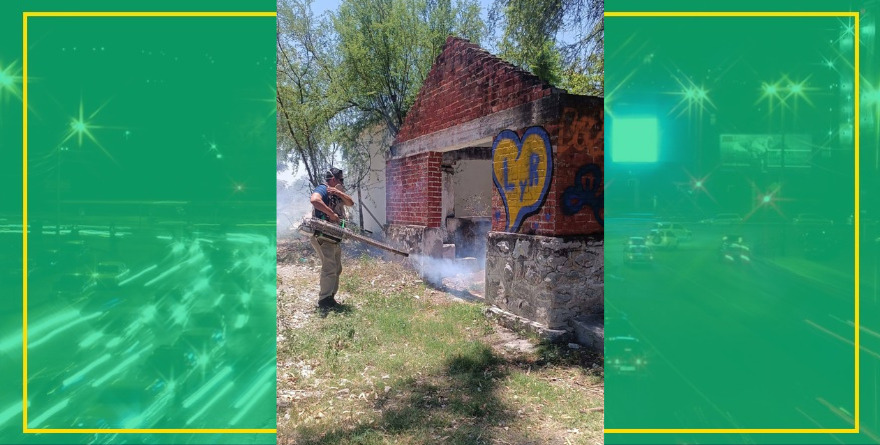 Fumigan sectores contra el dengue