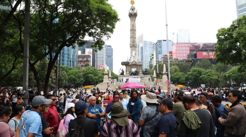 BUSCA LA CNTE SU REVANCHA
