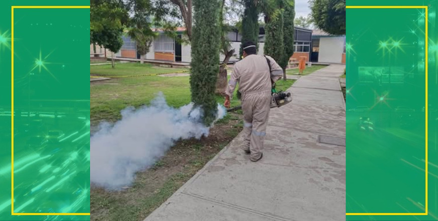 Combaten dengue en aulas locales