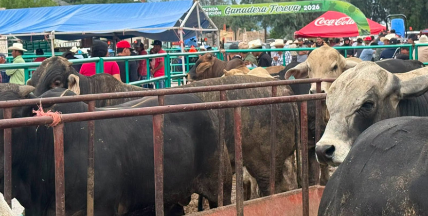 Apoyos dignifican el campo potosino