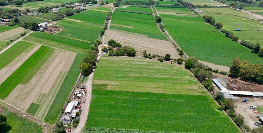 Lluvias fortalecen el ciclo agrícola