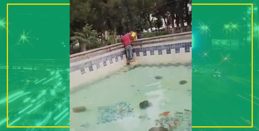 La pileta ya es autolavado VIP