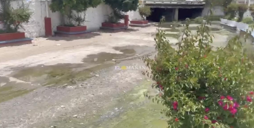 Malos olores en la UAM