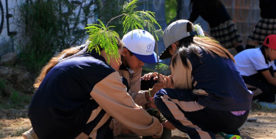 Impulsan creación de entornos verdes