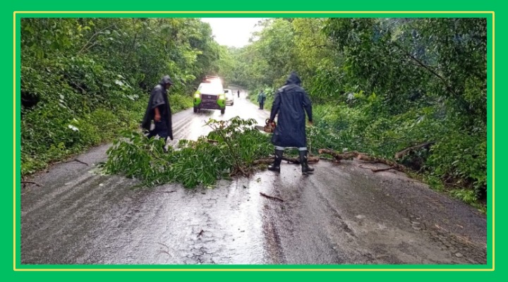 ¡Saquen el paraguas! Alertan por 20 días más de intensas lluvias en la Huasteca