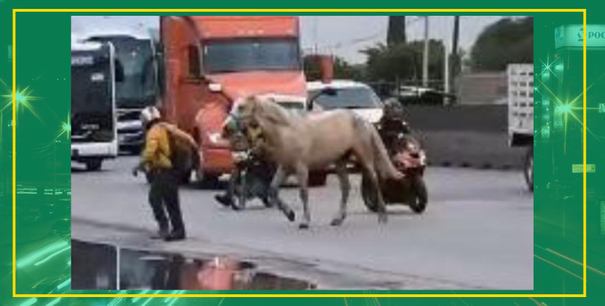 “Jaripeo” en pleno Periférico Norte