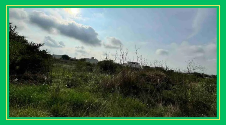 Buscan a conocido abogado de Rioverde por tranza de terrenos