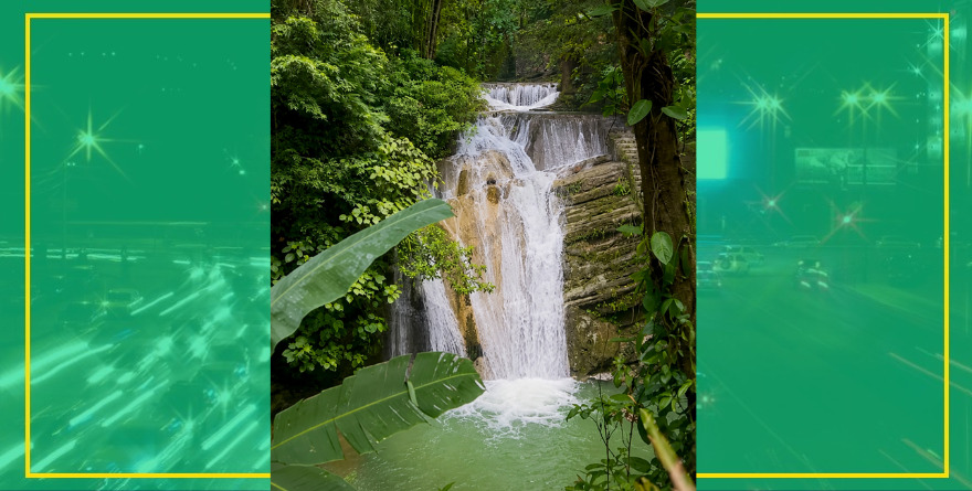 Lluvias embellecen a la selva