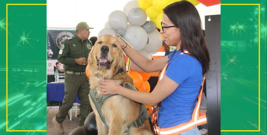 ¡Un agente de cuatro patas! Rufo, el lomito que conecta a la policía con los niños potosinos