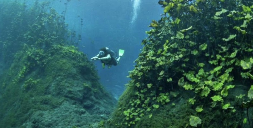 Buceo mantiene el alto atractivo turístico