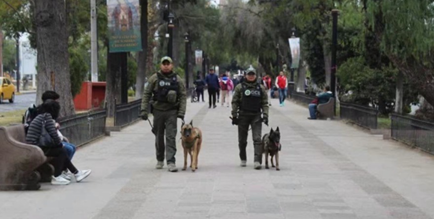 Inician operativo Verano Seguro 2026