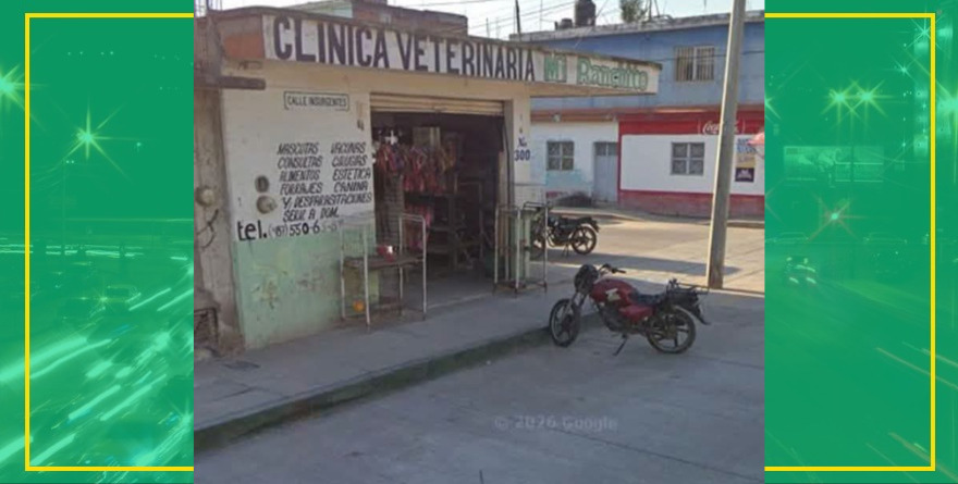 Asociación de veterinarios de la Zona Media piden evitar acusaciones sin pruebas tras casos por fallecimiento de mascotas