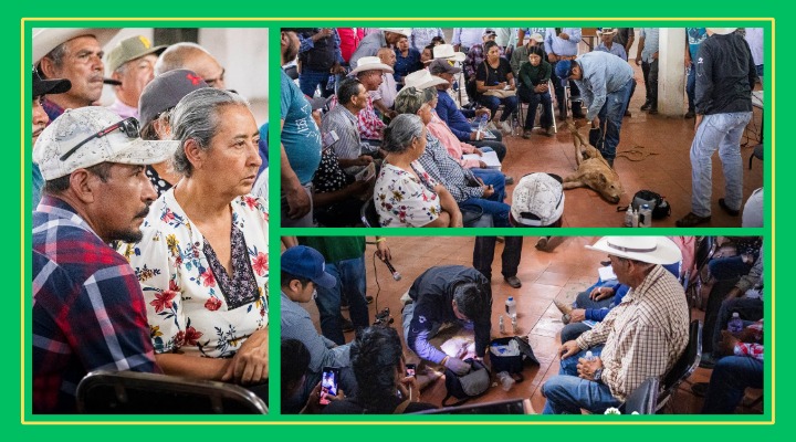 Ganaderos de Moctezuma aprenden a combatir el gusano barrenador con curaciones en vivo