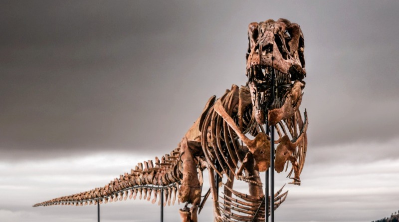 ROMPE RÉCORD EN SUBASTA FÓSIL DEL TIRANOSAURIO ‘GUS’